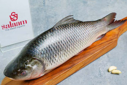 Rohu/Rui/Medium-Whole (Not cleaned Not Gutted)